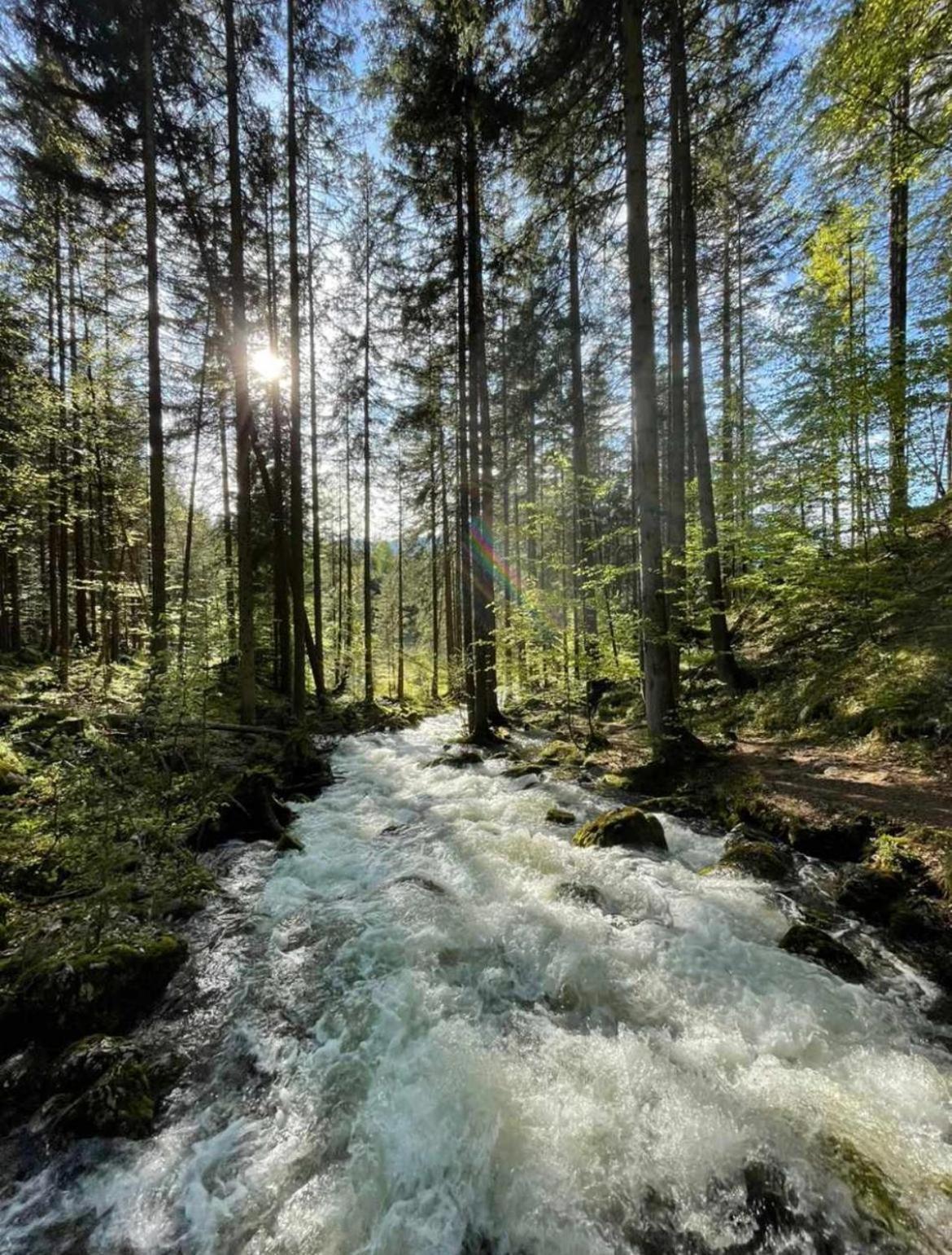 Ferienhaus Romantika Bad Aussee Dış mekan fotoğraf